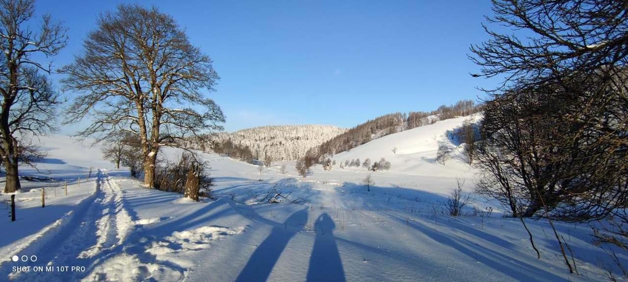 Holiday Home Moldava Экстерьер фото