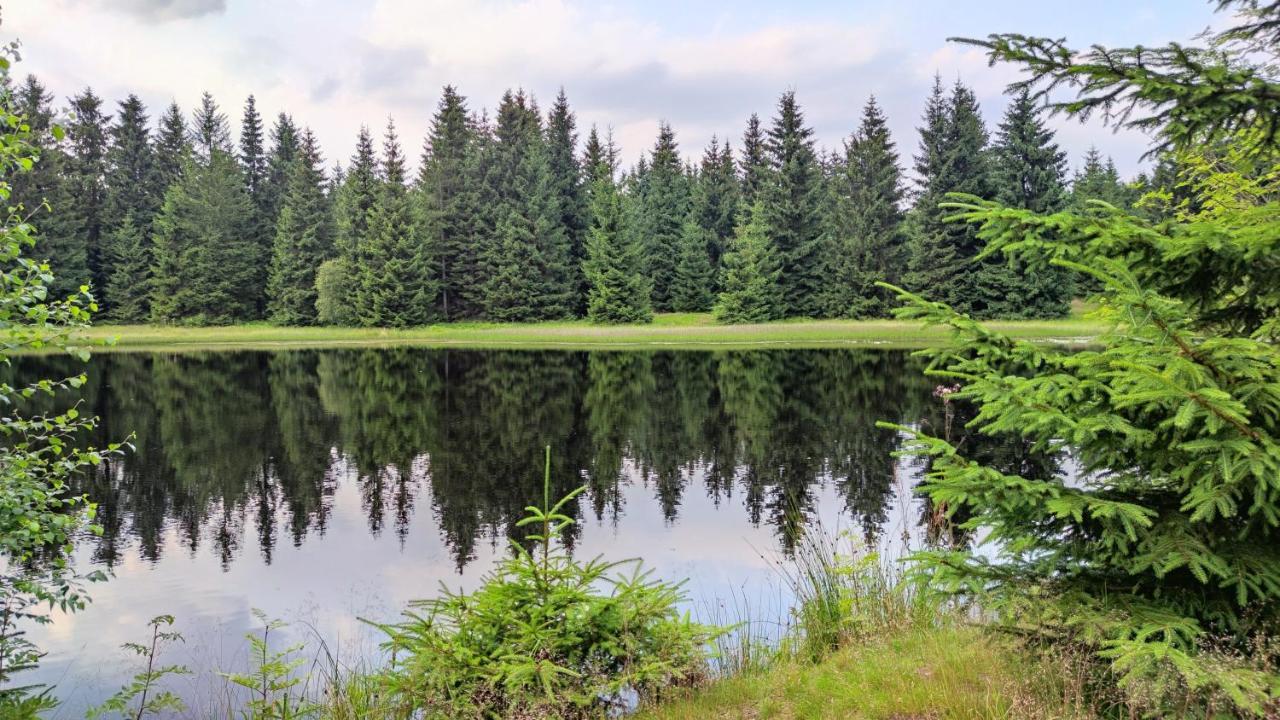 Holiday Home Moldava Экстерьер фото