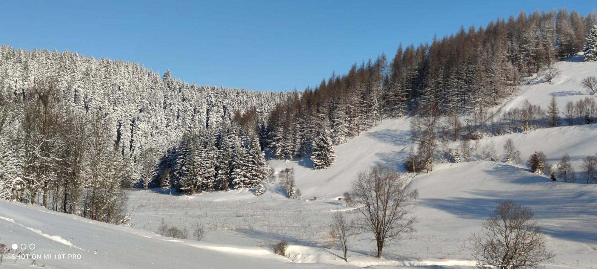 Holiday Home Moldava Экстерьер фото