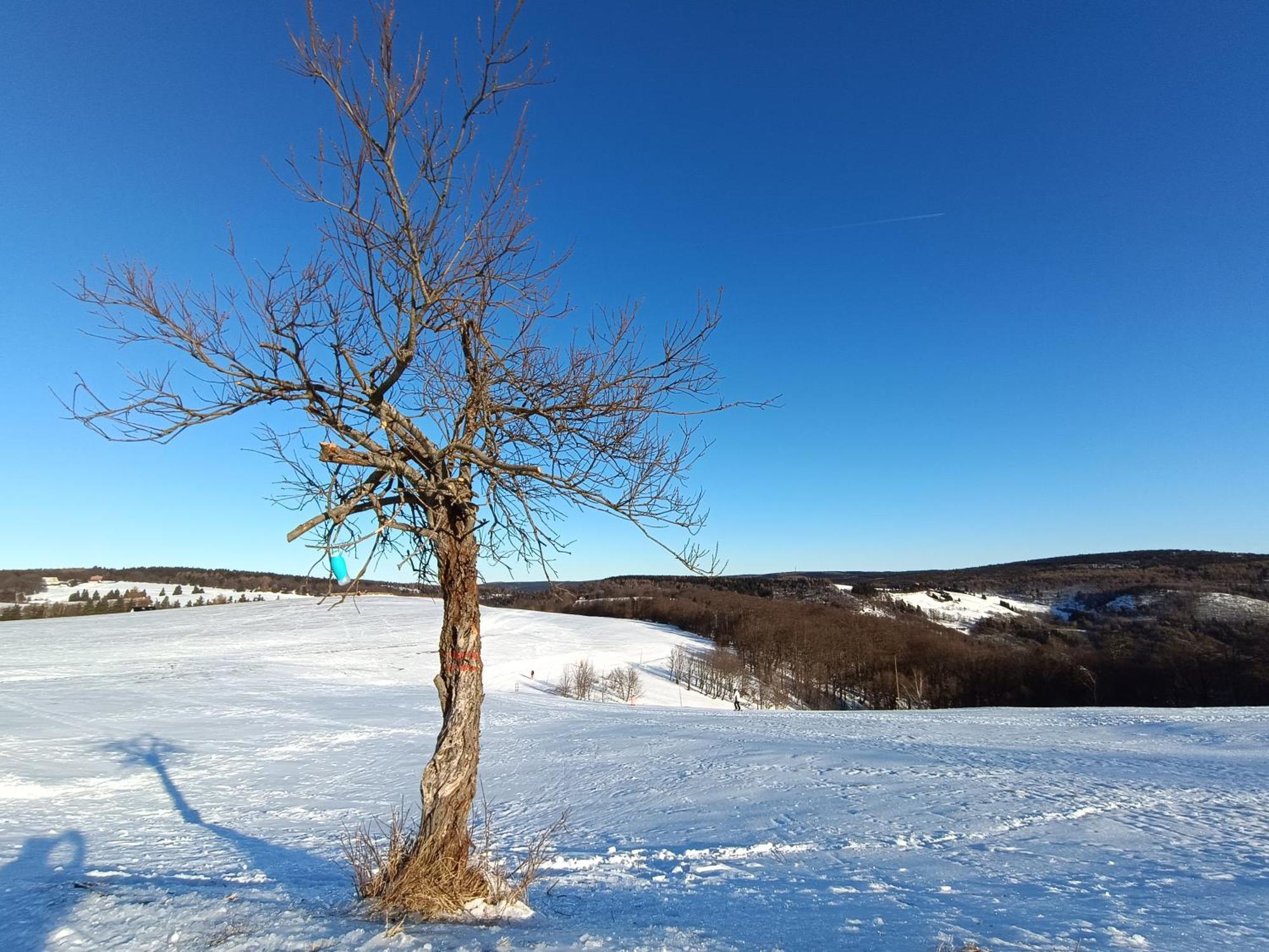 Holiday Home Moldava Экстерьер фото